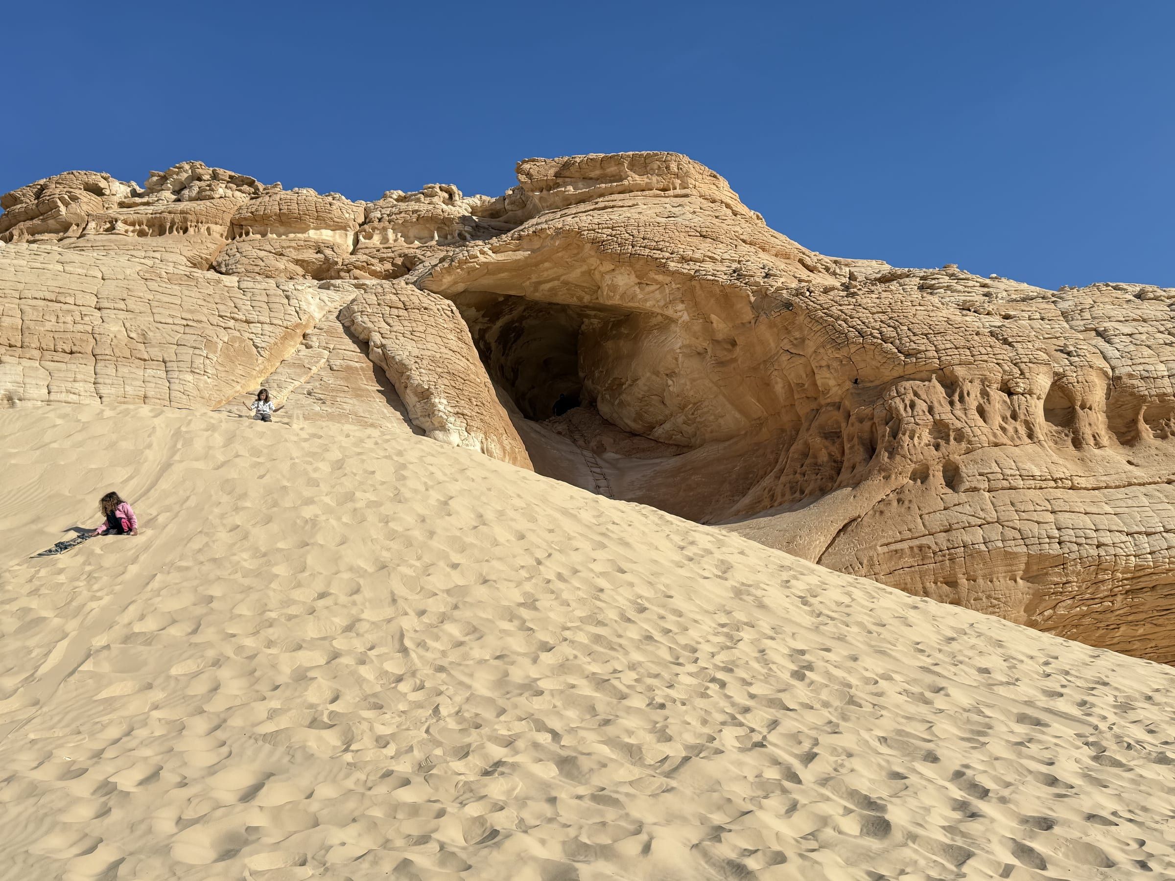 Desert Dawn