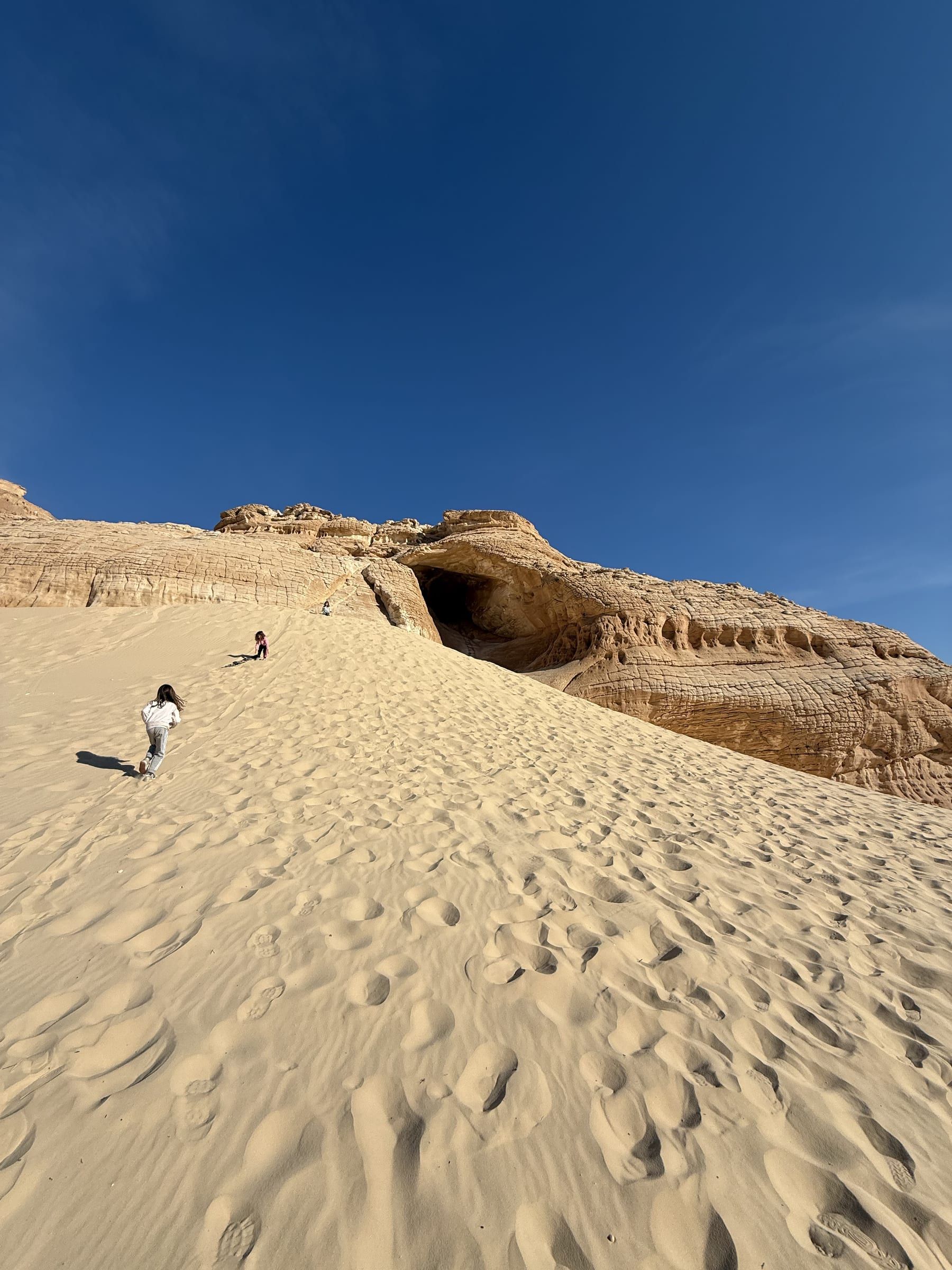 Desert Dawn