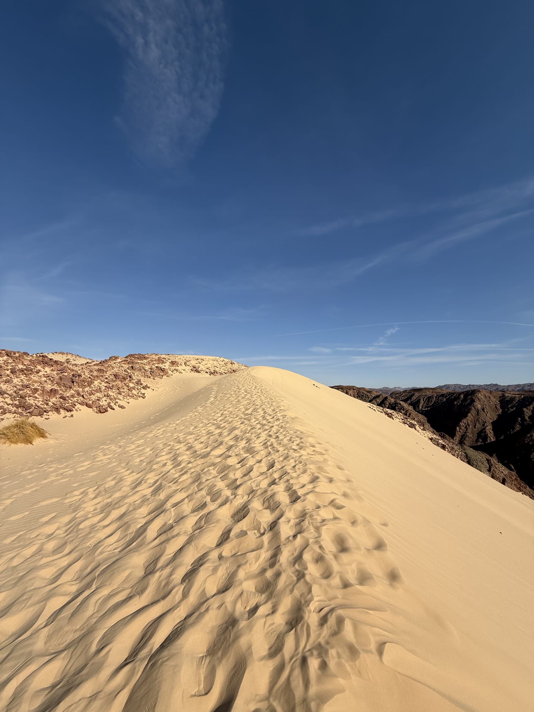 Desert Dawn