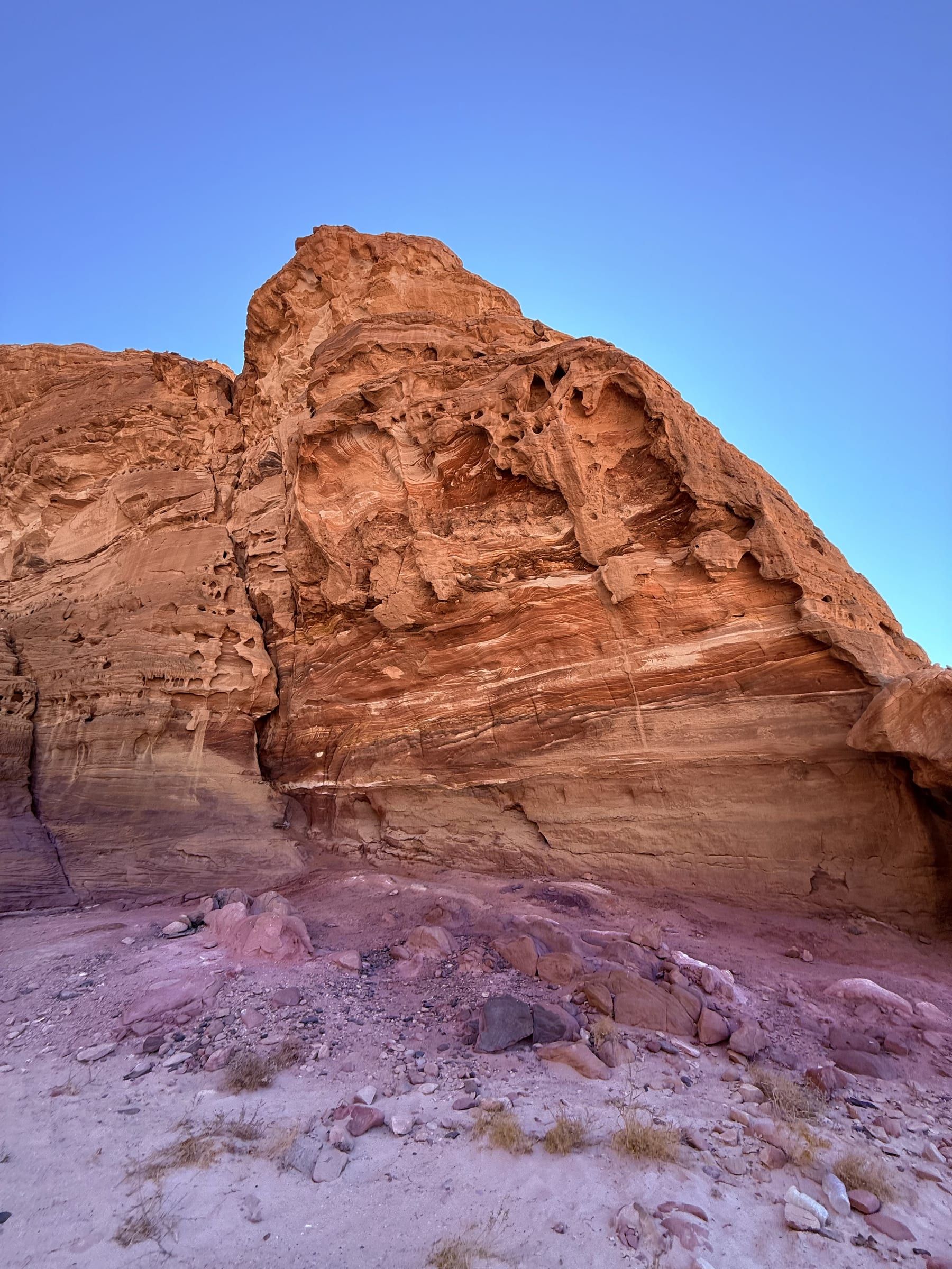 Desert Dawn