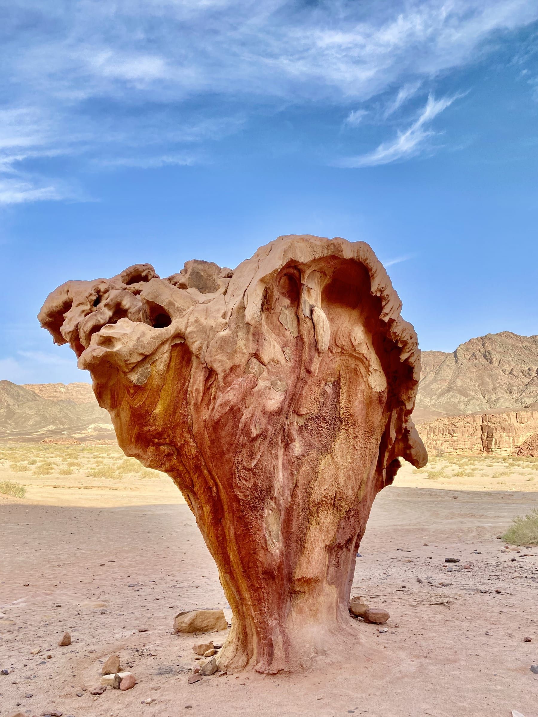 Desert Depths