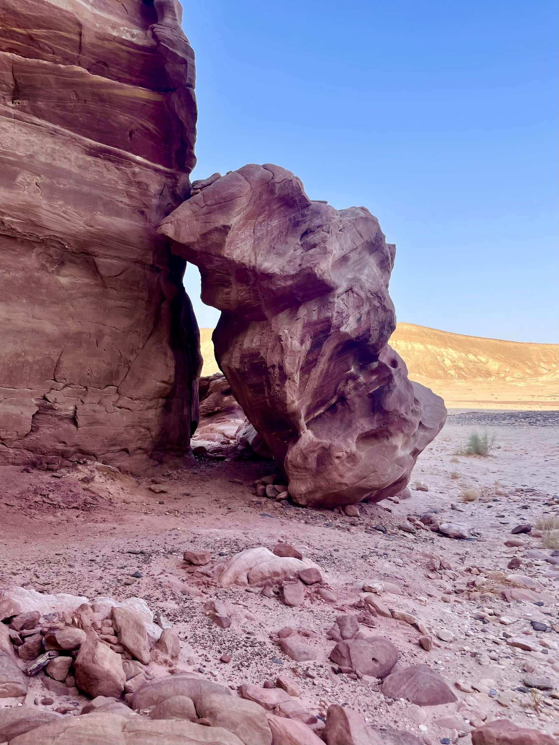 Desert Dawn