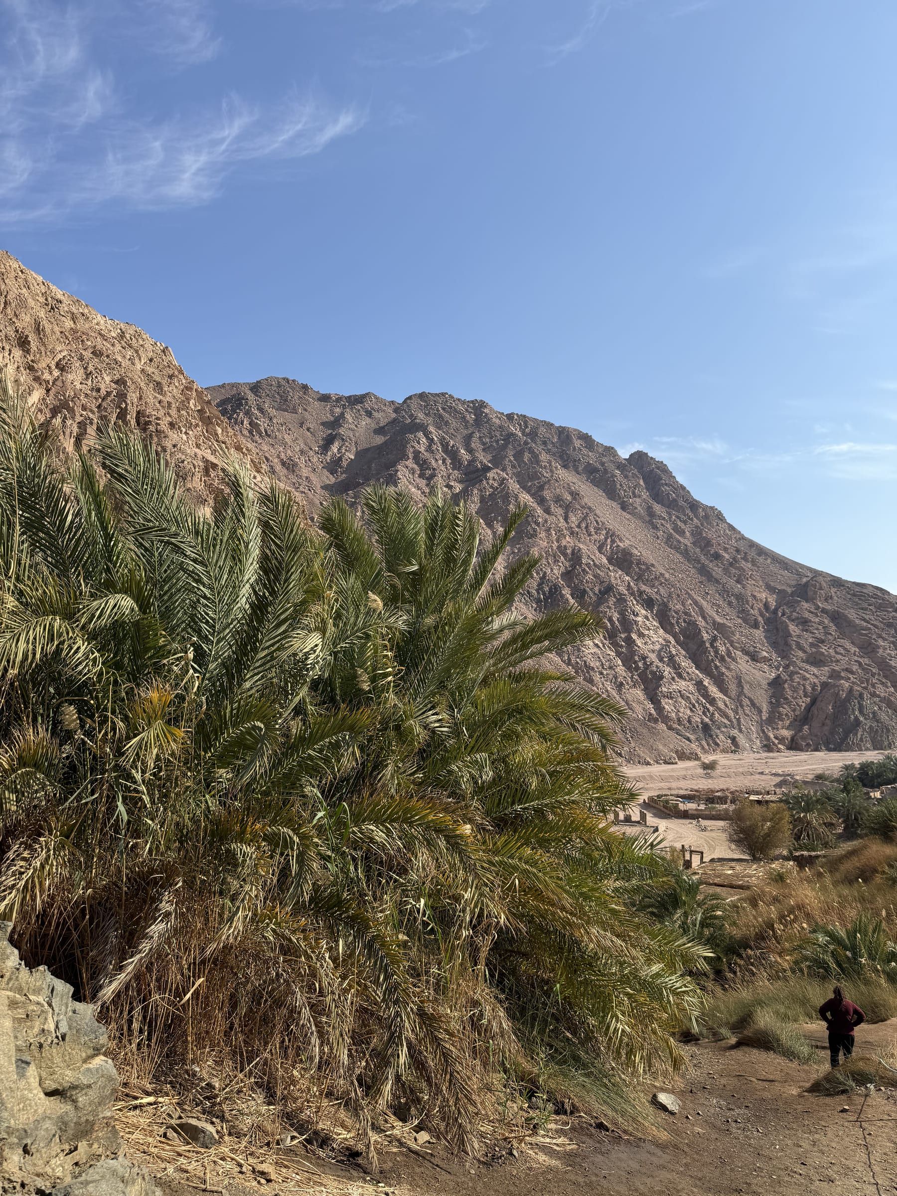 Desert Farm Tour