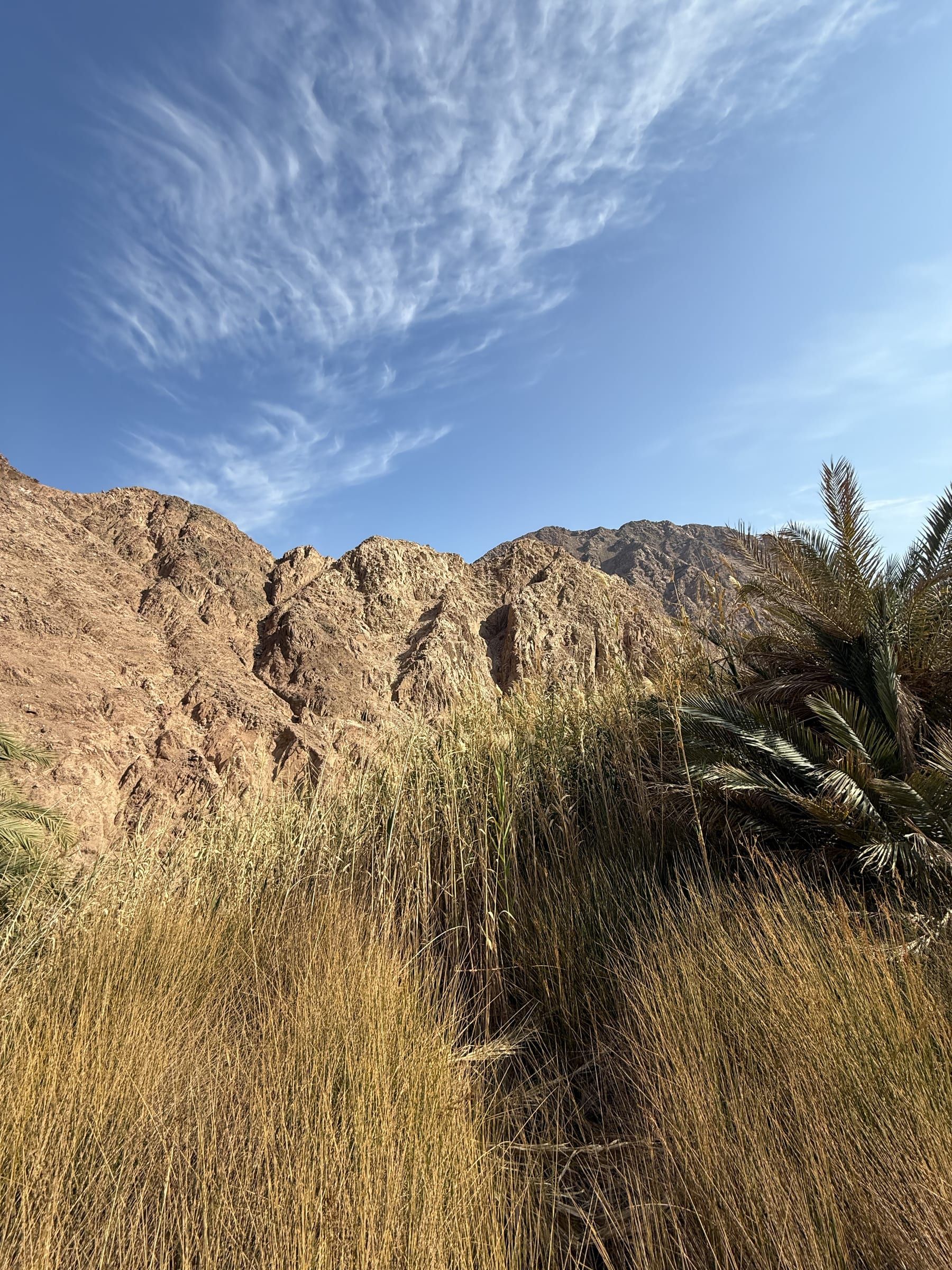 Desert Farm Tour