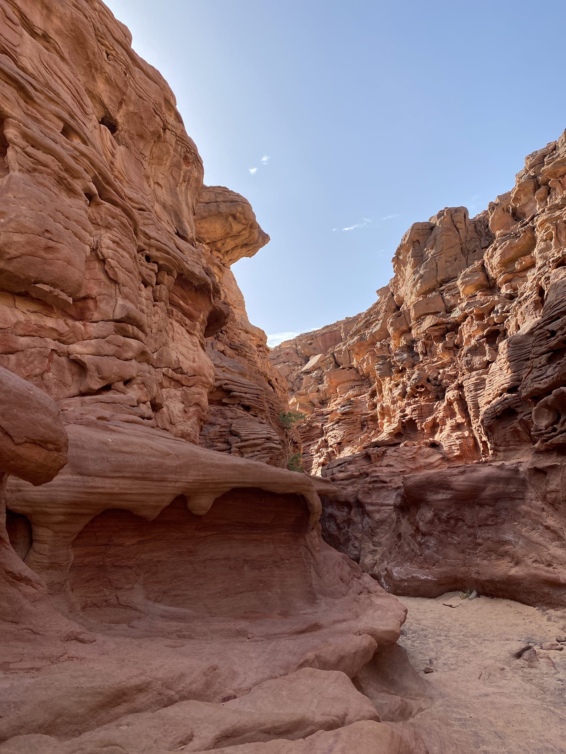 Desert Depths