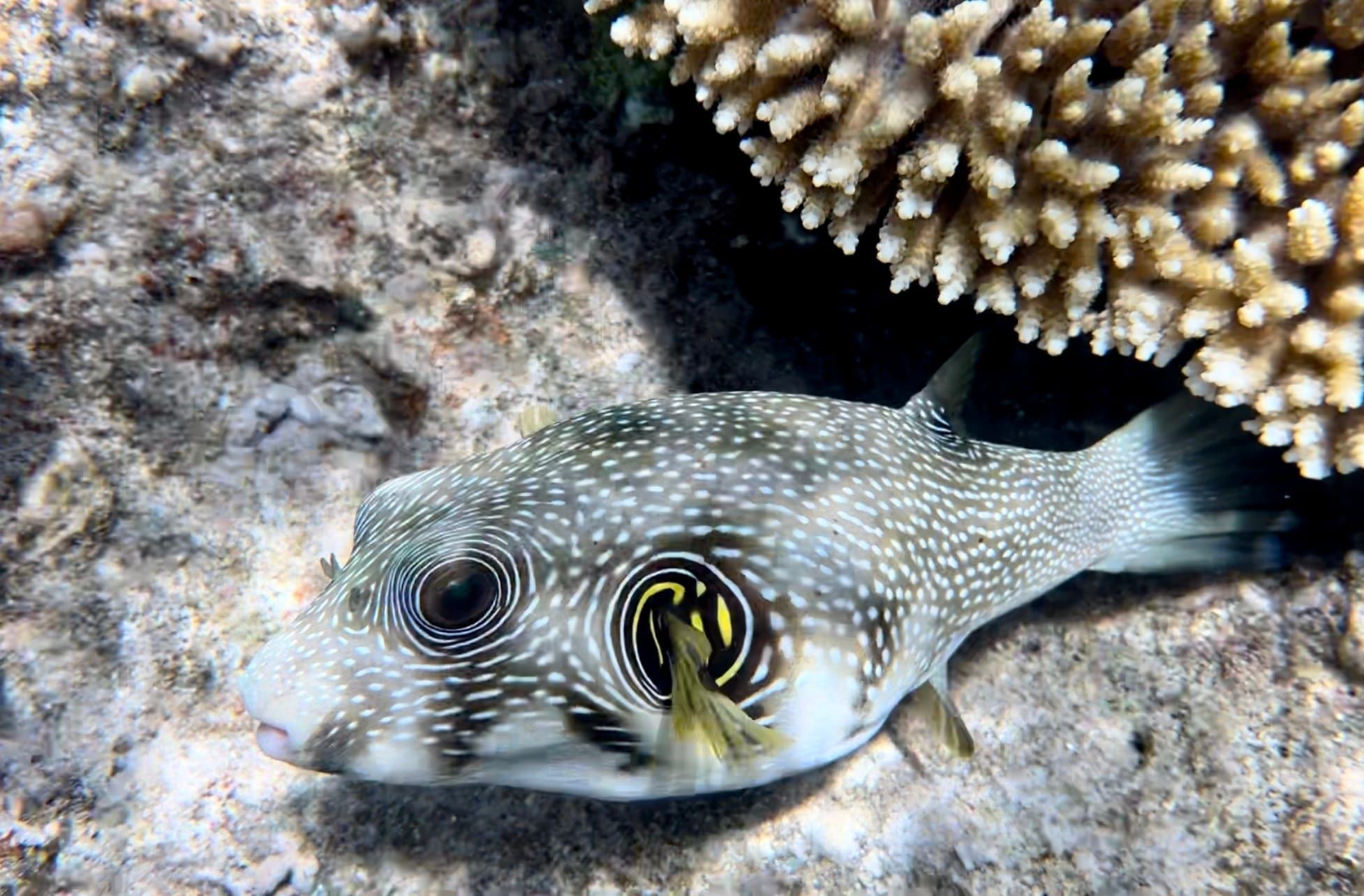 Reef & Relax